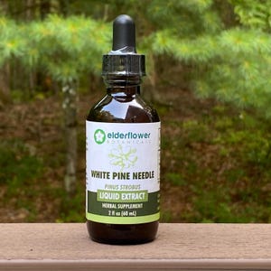 White Pine Needle Extract | Shikimic Acid | Organic Tincture | Pinus Strobus