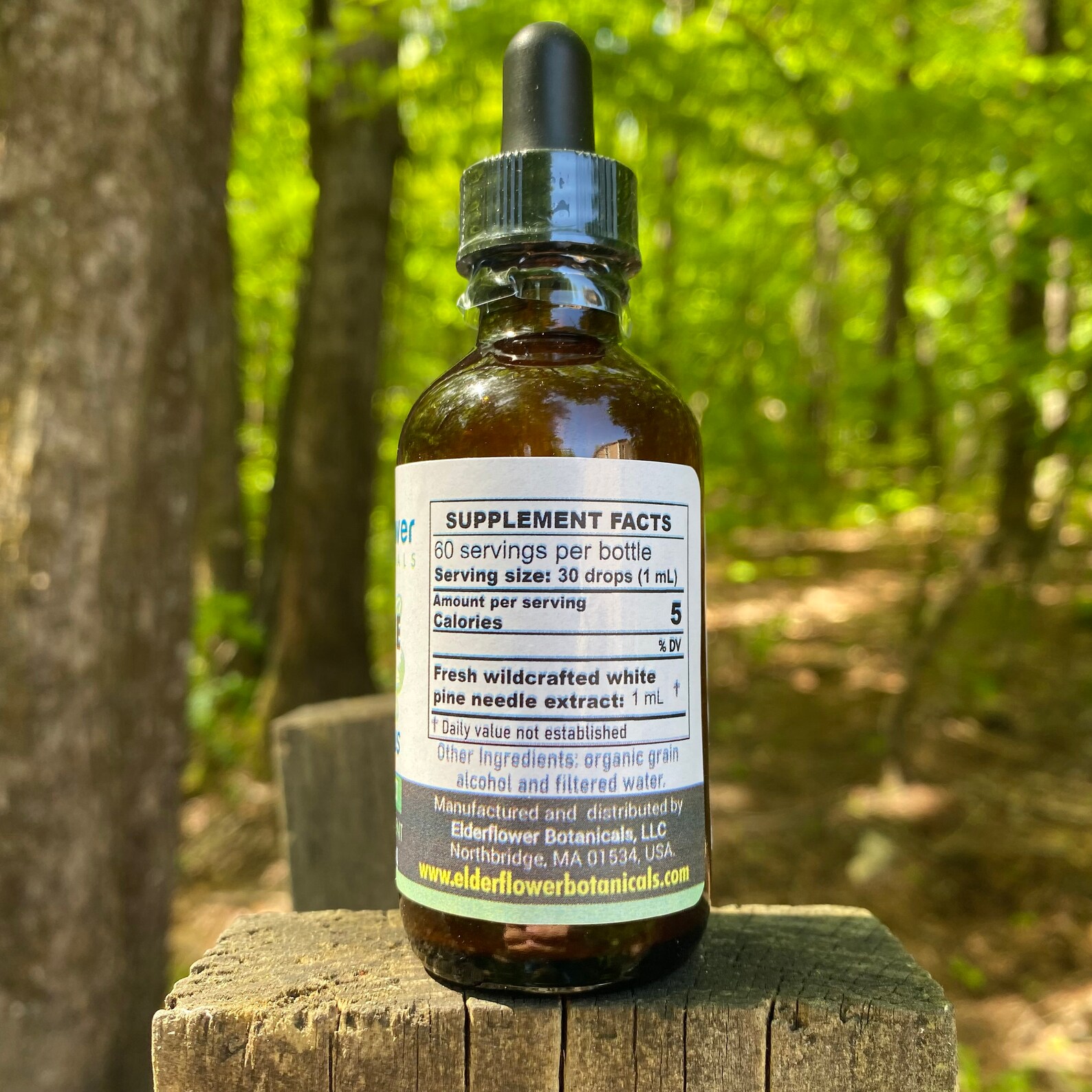 White Pine Needle Extract Shikimic Acid Suramin Organic Etsy