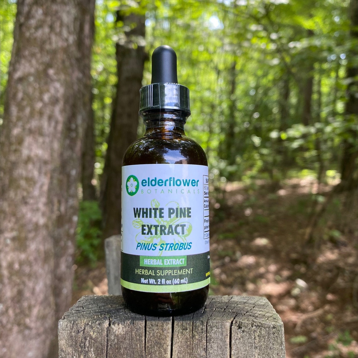 White Pine Needle Extract Tincture Concentrated Organic Etsy