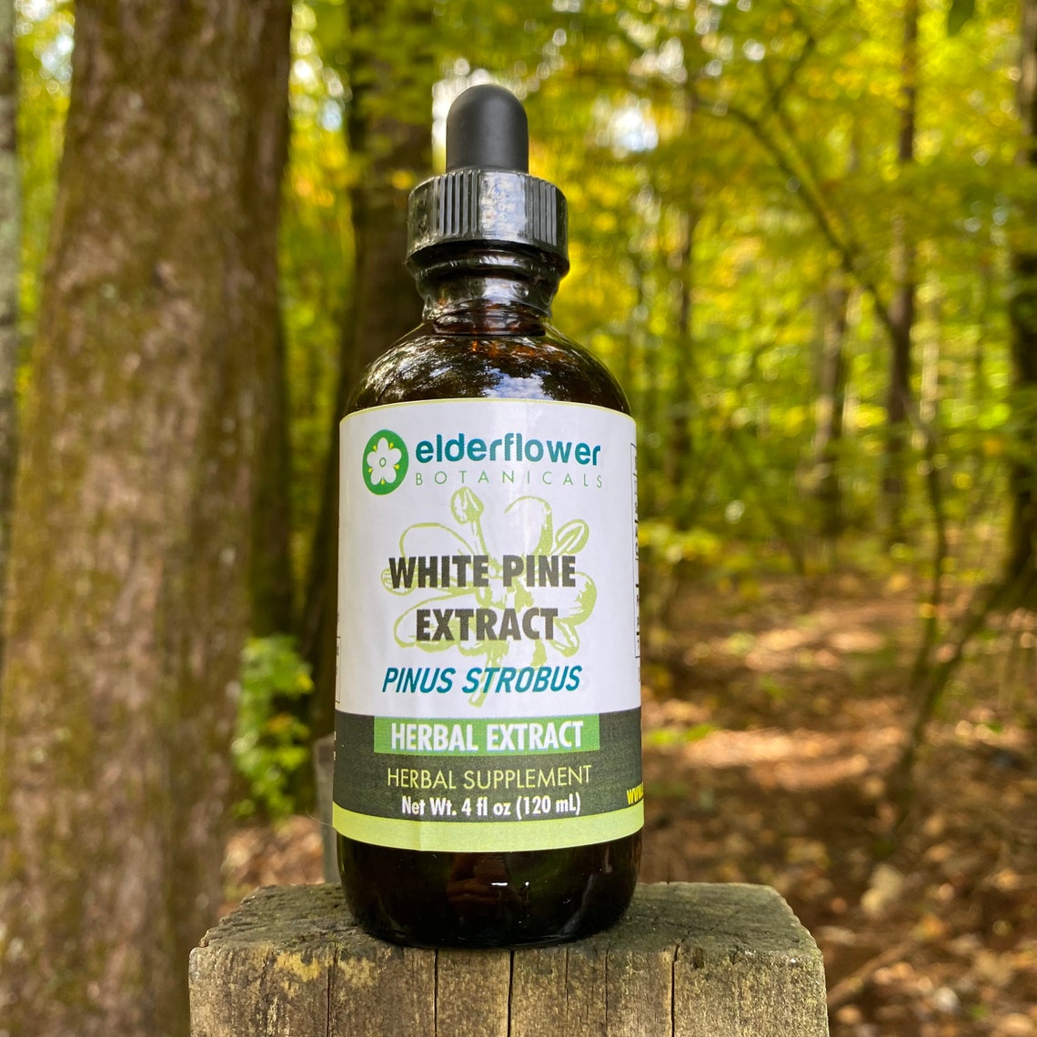 White Pine Needle Extract Pure Organic Concentrated Etsy Canada