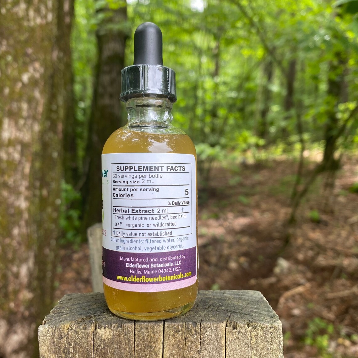 White Pine Elixir Concentrated Great Taste Pine Needles Etsy