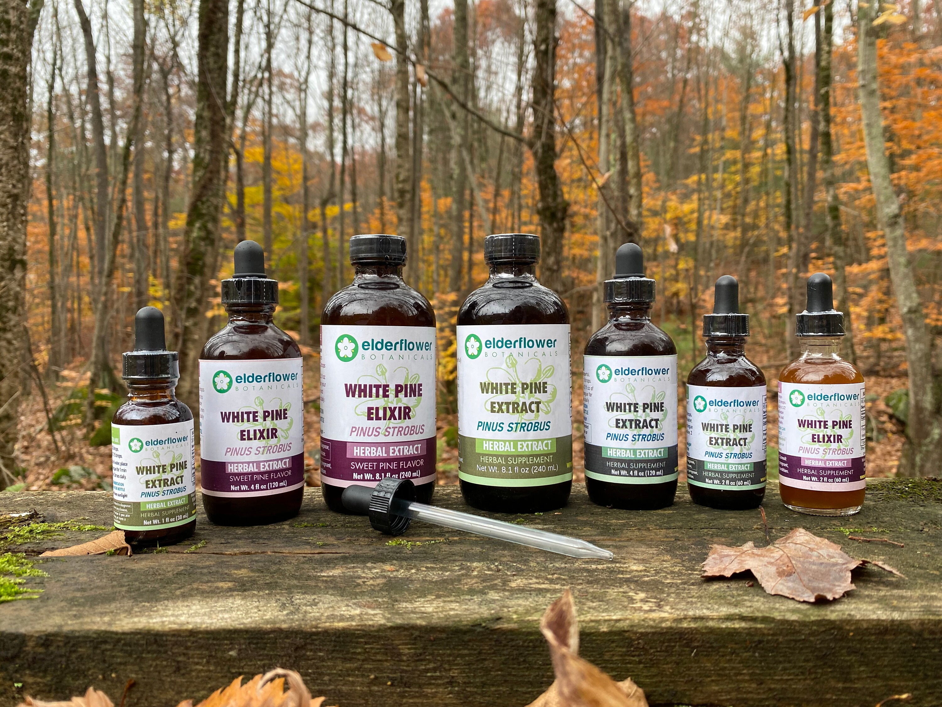 White Pine Needle Extract Shikimic Acid Organic Tincture Etsy Australia