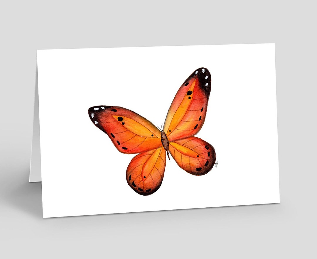 Watercolor Butterfly Note Card Set | Blank A2 Cards With Envelopes - Etsy