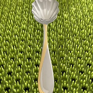 May include: A silver spoon with a shell-shaped bowl and a gold-colored accent on the handle. The spoon is set against a textured green background.