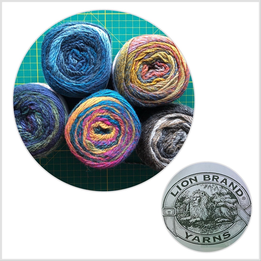 Lion Brand Yarn Ferris Wheel Yarn, Knitting Supplies 2 85g/3 Oz Skein