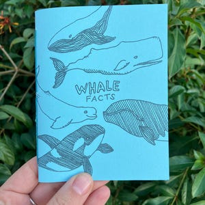 May include: A blue booklet with the title "Whale Facts" printed in black. The booklet features black and white line drawings of four different whales.