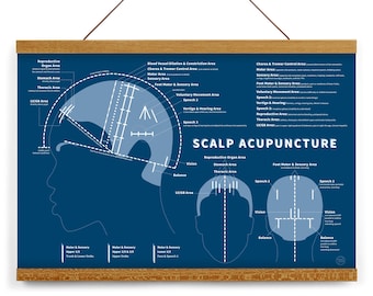 Scalp Acupuncture Print 19" x 13" (Blue), Chinese Medicine, TCM, frame optional