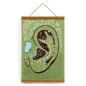 Ohrakupunktur-Zertifikate (grün) 13 "x 19" • Aurikel, Chinesische Medizin, TCM, Rahmen optional
