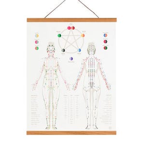 Acupuncture Meridian Channel Wall Art 17&quot; x 22&quot; • Chinese Medicine, Female body, TCM, frame optional