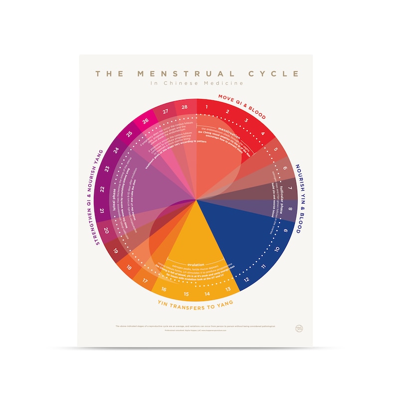 The Menstrual Cycle in Chinese Medicine 16" X 20", Acupuncture, TCM ...