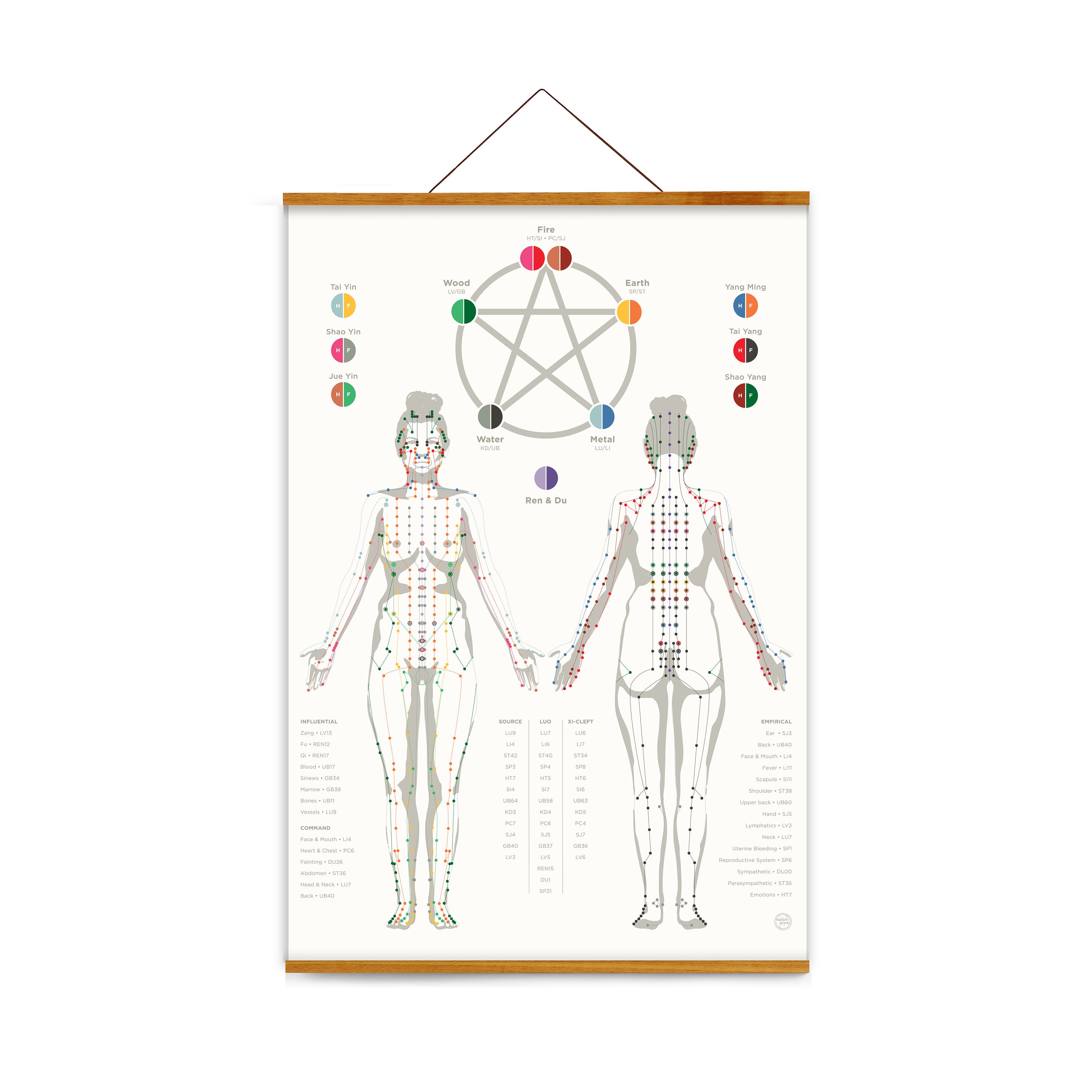 Acupuncture Meridian Channel Wall Art 25" x 36" • Chinese Medicine, Female body, TCM, frame optional