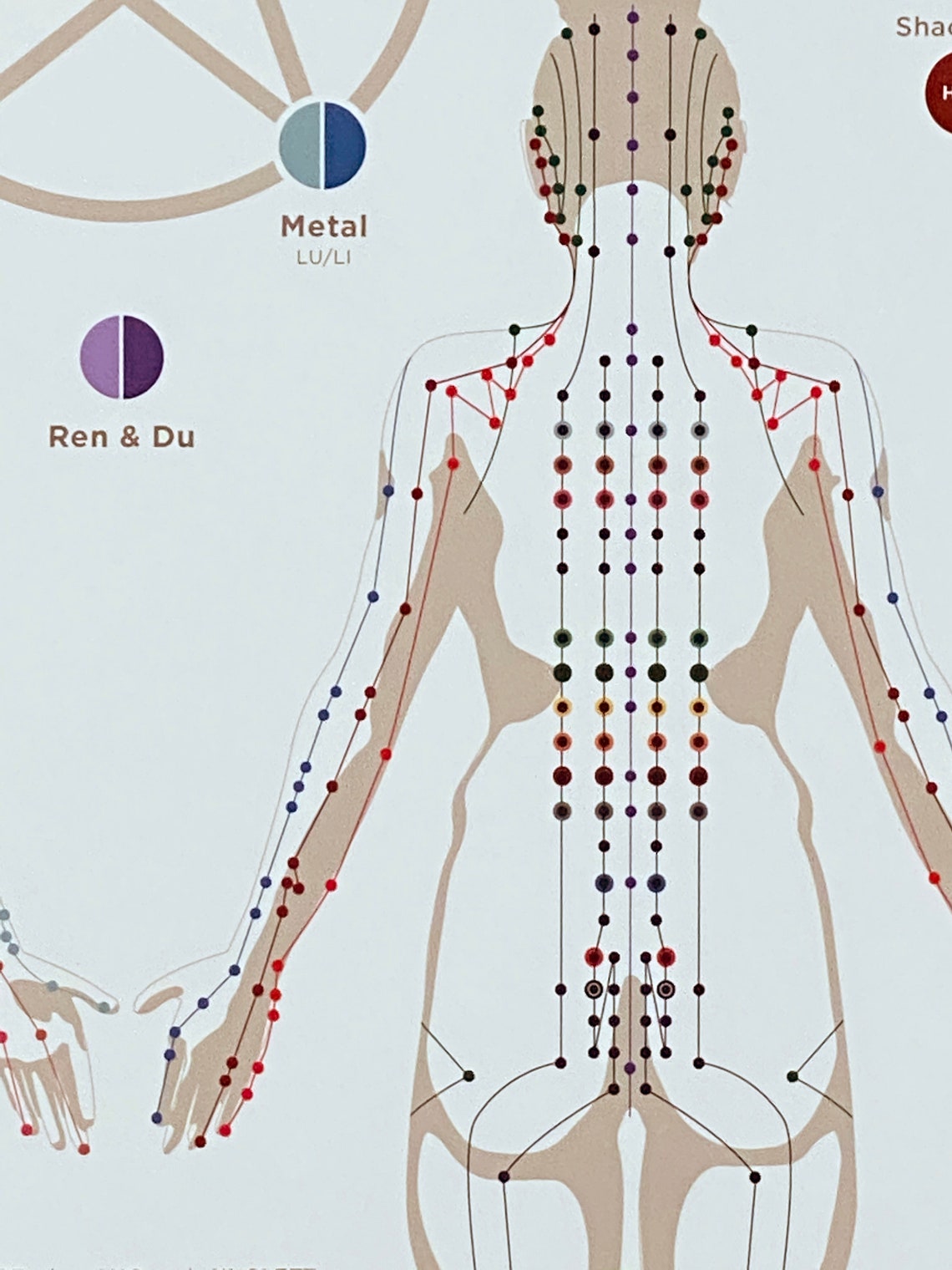 Acupuncture Meridian Channel Print 17 X 22 Etsy Canada