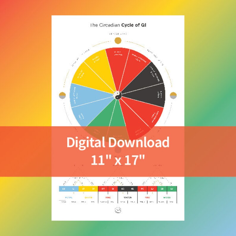 Pu&ograve; includere: Un download digitale di un grafico stampabile intitolato "Il ciclo circadiano del Qi" con una ruota colorata che rappresenta le 12 ore del giorno e l'elemento Qi corrispondente. Il grafico misura 11 pollici per 17 pollici.
