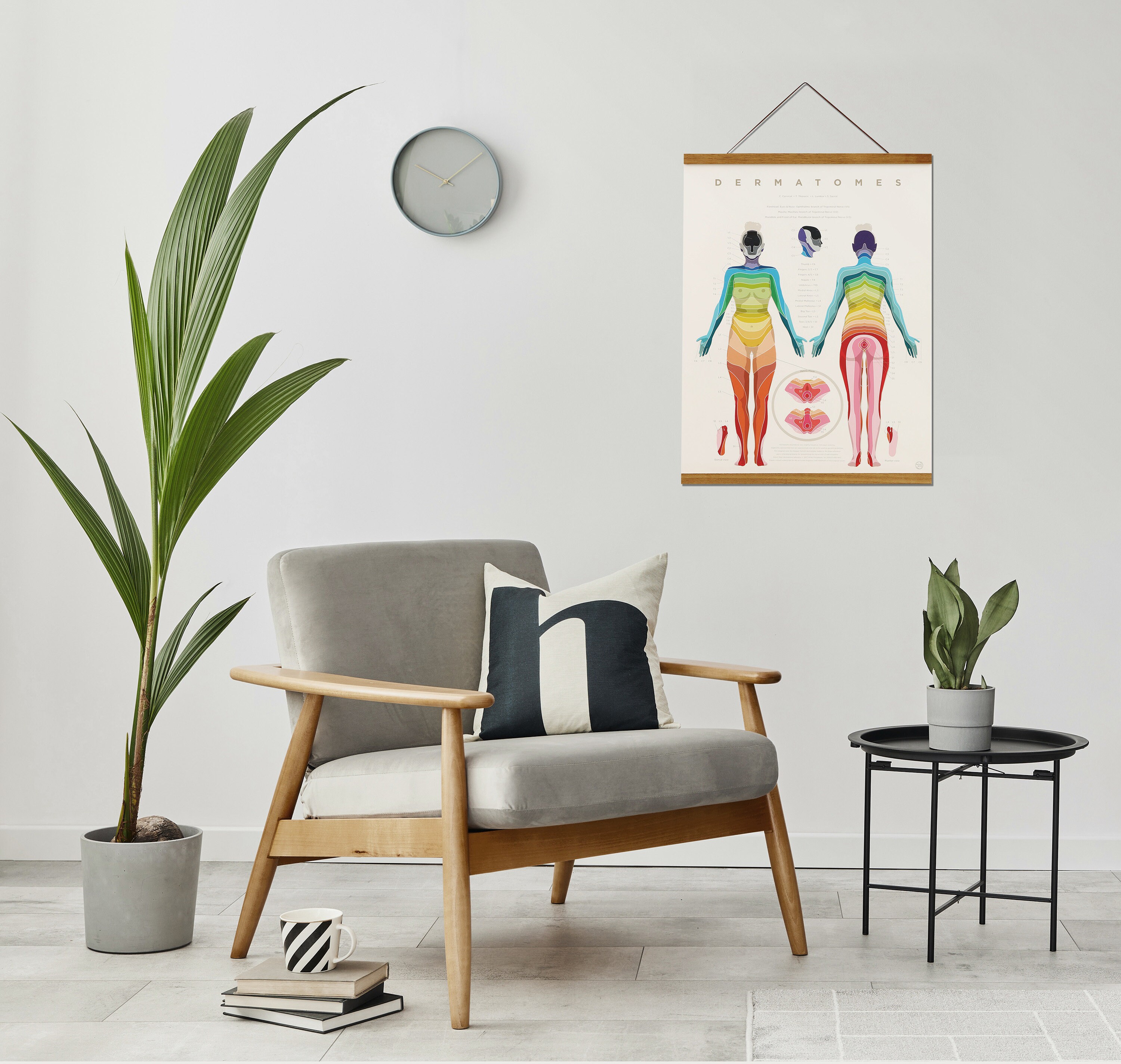Dermatome Map 17 X 22 Print Acupuncture, Physical Therapy, Anatomy