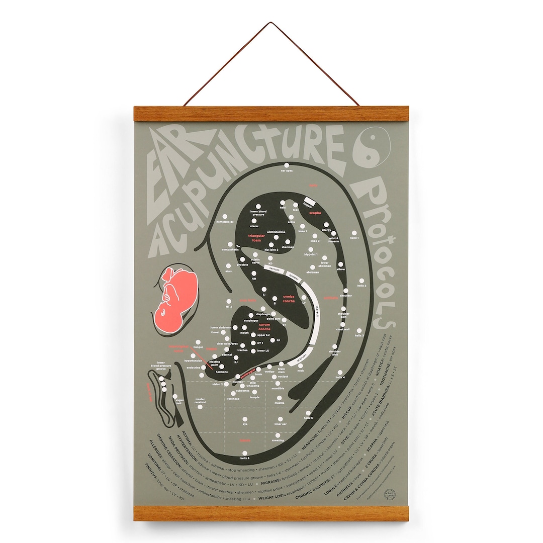 Muted Ear Ear Acupuncture Points Print: Muted Black, TCM Auricular Protocols (13 ...