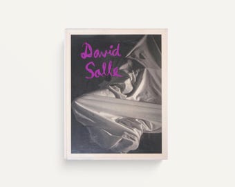 david salle: photographs from 1980 to 1990 - 1991 - coffee table vintage rare photography book
