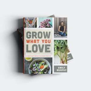 Grow What You Love: 12 Food Plant Families To Change Your Life