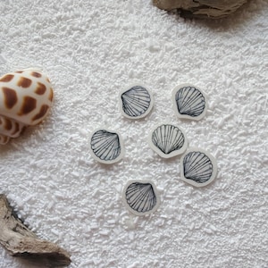 May include: A collection of seashell-themed items on a white, textured surface. The image features a brown and white spotted seashell, several small seashell stickers with black outlines, and a piece of driftwood. The items are arranged to evoke a beachy theme.