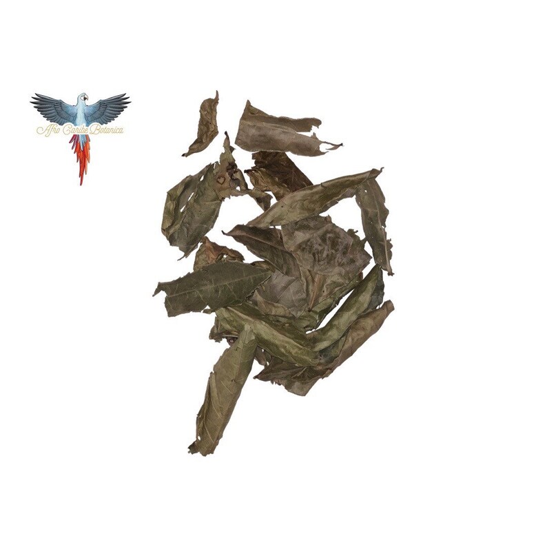 Dried Yoruba Herbs/hierbas Yoruba Secas Etsy