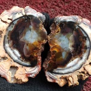 Könnte beinhalten: Zwei Hälften eines Geoden mit einem bunten Achatmuster. Der Achat ist eine Mischung aus Weiß, Braun, Schwarz und Orange. Der Geode ist halbiert und zeigt das Innere des Achats.