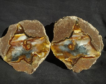 Thunderegg turco lucido