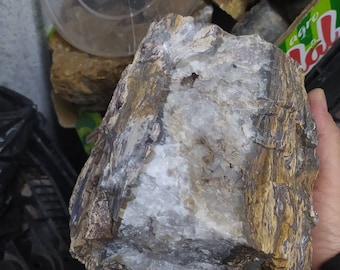 Corteccia di riolite con cristalli di quarzo all'interno.