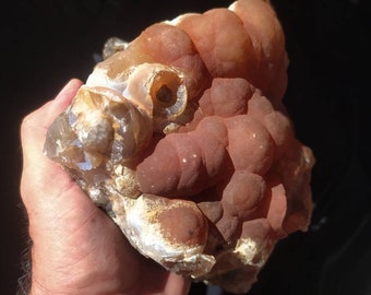 Große orange Botryroid Chalcedon Specimen: Türkische Mineral Display (20x18 cm)