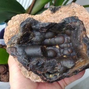 1618 grams!,Big Black botryoidal,Thunderegg,agate,geode,chalcedony Botryoidal,Turkish Ankara,raw and natural,huge botryoidal,crater agate