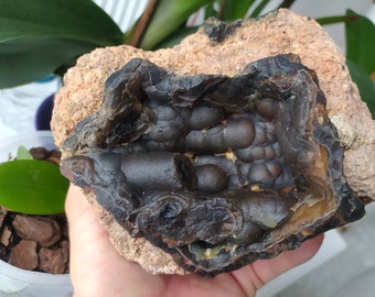 Geode Botrioidale Nero Grande a Uovo di Tuono: Agata Ankara Turca