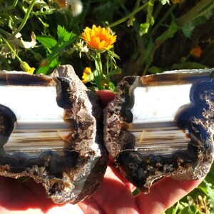 Könnte beinhalten: Eine große, natürliche Achat-Geode mit einem weißen, braunen und schwarzen Bandmuster. Die Geode ist in zwei Hälften geschnitten, wodurch das Innere sichtbar wird.