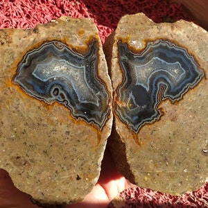 Könnte beinhalten: Zwei Hälften eines Geoden mit braunem Äußeren und einem blauen und schwarzen Achat-Inneren. Der Achat hat ein wirbelndes Muster.