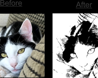 Photo trace to lined art