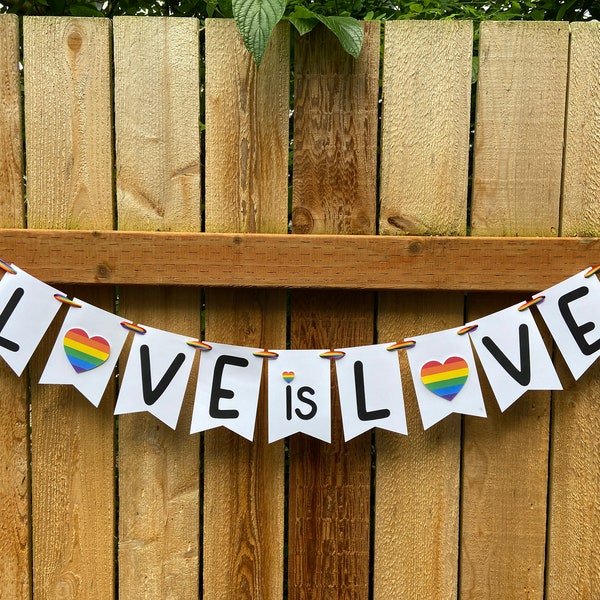 Love is Love Banner, Pride Banner, Pride Decor, Rainbow Party Decorations, LGBTQ, Love Banner, Rainbow Banner, Love is Love Bunting