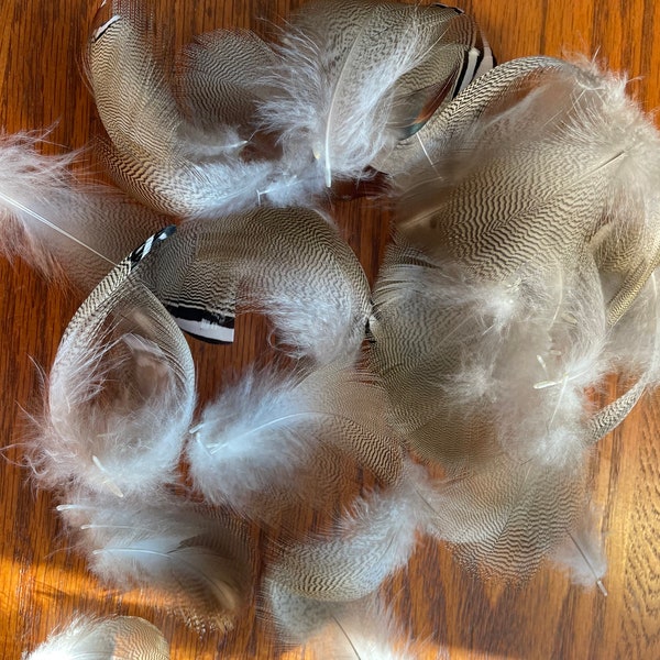 Woodduck feathers