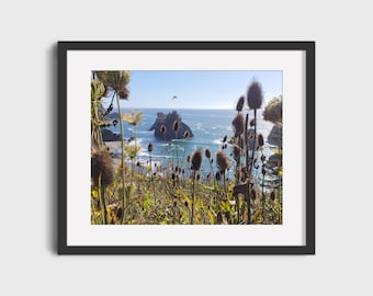 Día soleado de la costa de Oregón en el agua, decoración de la pared del paisaje oceánico, arte de pared imprimible, impresiones digitales, impresión de arte descargable