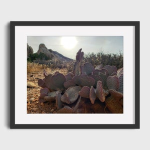 Arbre de Josué, désert de Mojave, cactus, désert, décoration murale, art mural imprimable, impressions numériques, impression d&#39;art téléchargeable