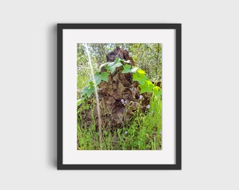 Mystical Greens, Nature Photography, Wall Décor, Printable Wall Art, Digital Prints, Downloadable Art Print