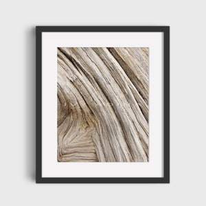 Woodn't You Love It, Bristlecone Pine Bark, Boomhoutfotografie, Wanddecoratie, Afdrukbare Muurkunst, Digitale Prints, Downloadbare Art Print