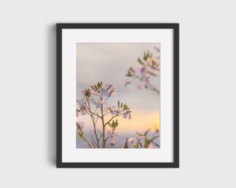 Wilde radijsbloemen, bloemenfotografie, wanddecoratie, afdrukbare muurkunst, digitale prints, downloadbare kunstprint
