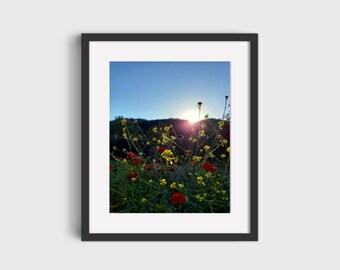 Blumen bei Sonnenuntergang, Florale Fotografie, Wanddekor, druckbare Wandkunst, Digitaldrucke, herunterladbarer Kunstdruck