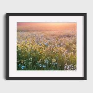Dreamy Flower Fields, Floral Photography, Wall Décor, Printable Wall Art, Digital Prints, Downloadable Art Print