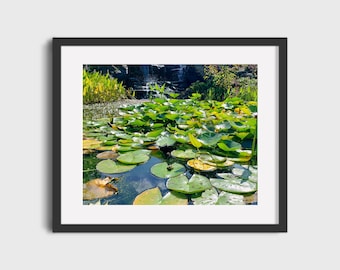 Sprongkikker op de vijver, natuurfotografie, wanddecoratie, afdrukbare muurkunst, digitale prints, downloadbare kunstprint