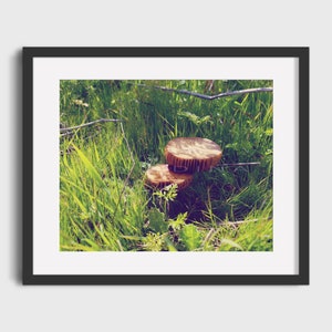 Mushroom Gloom, Fungi Photography, Wall Décor, Printable Wall Art, Digital Prints, Downloadable Art Print