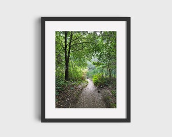 Könnte beinhalten: Ein schmaler, unbefestigter Weg schlängelt sich durch einen üppigen, grünen Wald, wobei Sonnenlicht durch die Bäume fällt.