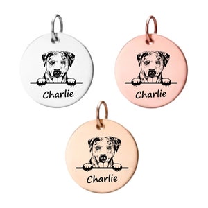 Catahoula Charm ,Personalized Stainless Steel Custom Name Engraved  Dog Pendant, Memorial Keepsake for Dog Mom, Dog Lover Gifts