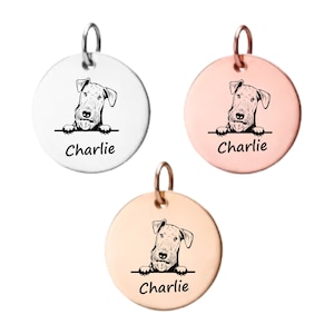 Airedale Terrier Charm ,Personalized Stainless Steel Custom Name Engraved  Dog Pendant, Memorial Keepsake for Dog Mom, Dog Lover Gift