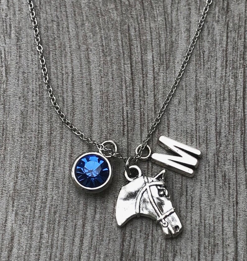 Personalized Horse Necklace Pet Horse Jewelry Racing Horse Etsy