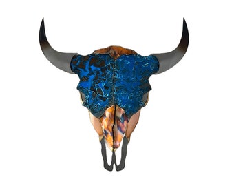 Buffalo Skull
