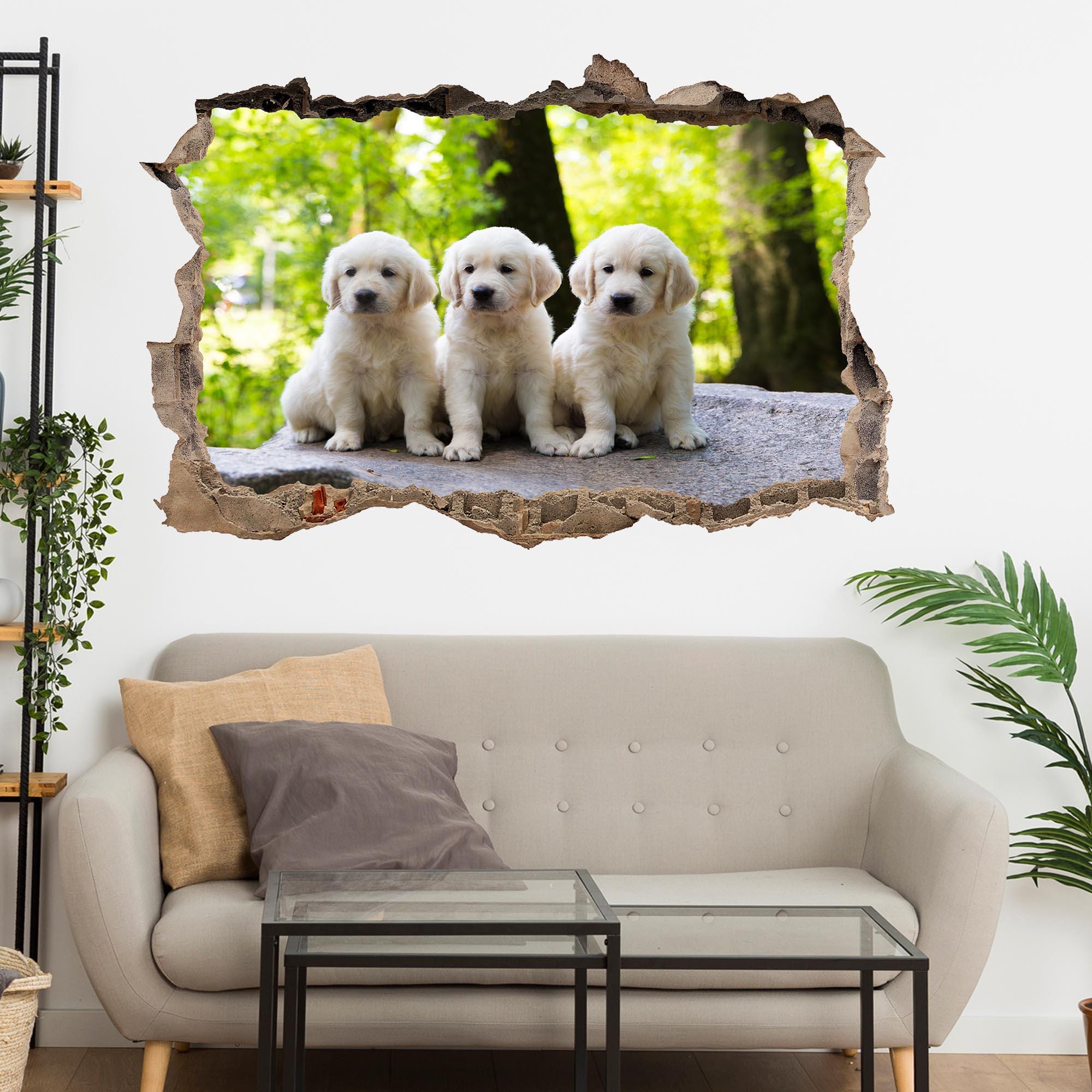 Golden Retriever Puppy Dog Wall Decal Sticker Mural Poster Print Art ...