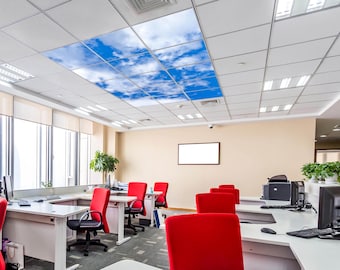 LED Sky Ceiling Panel: Artificial Skylight with White Clouds
